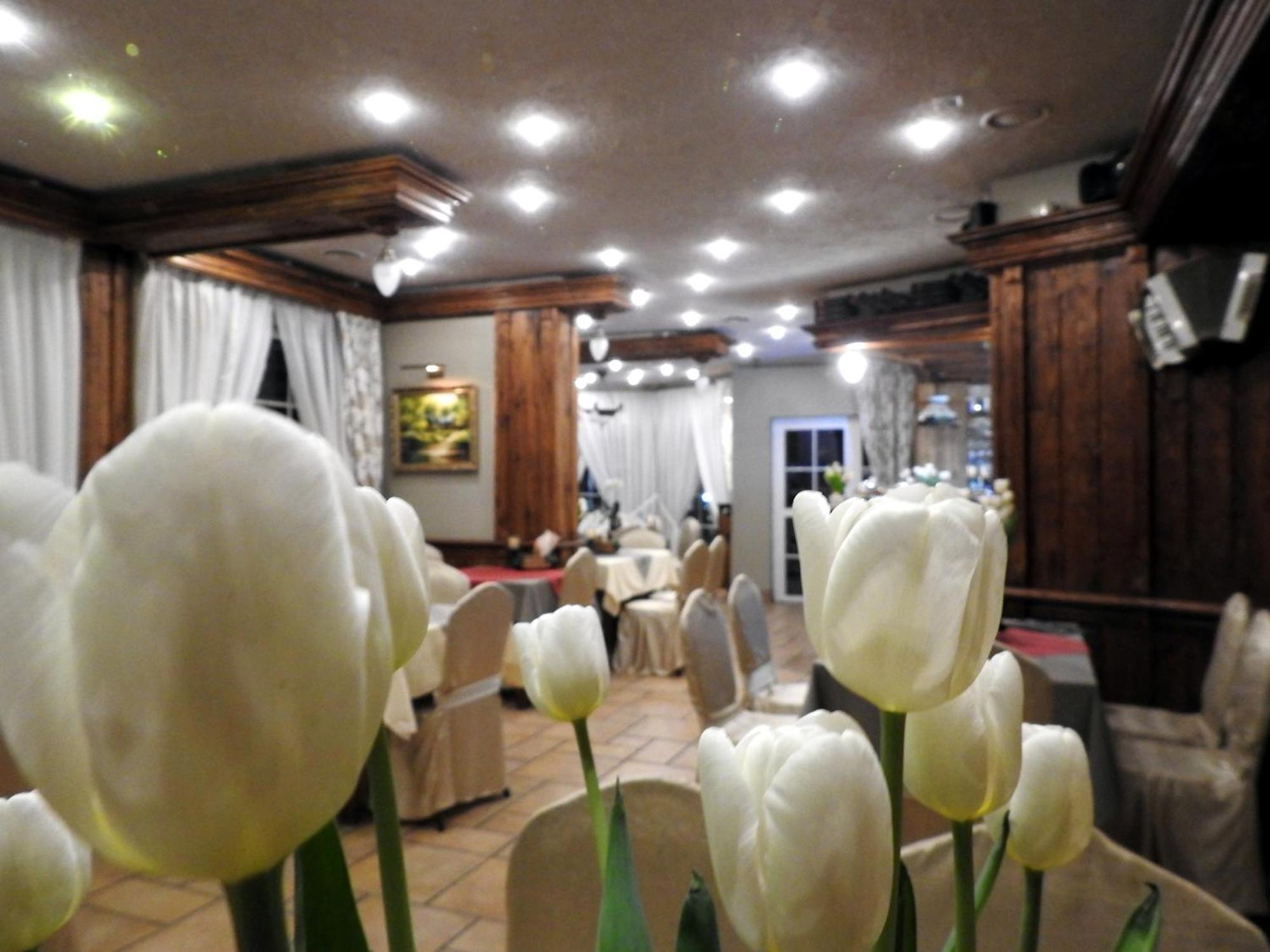 Noclegi I Restauracja Zodiak Szalsza Екстер'єр фото